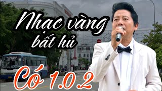 Giọng ca không chê vào đâu được với bài hát trữ tình Đặc Biệt có 102 Với tiếng hát đường phố [upl. by Herrera]