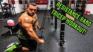 Intense 5 Minute Resistance Band Tricep Workout [upl. by Yablon454]