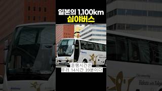 일본의 1100km 심야버스 [upl. by Anna-Maria]