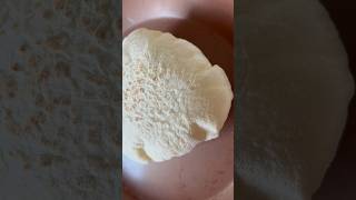 How to make Pita Bread at home breadrecipe pita [upl. by Yremogtnom]