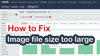 Image file size too large  Website SEO [upl. by Holmen22]