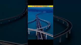 😱 The longest bridge in the world 🥶 shorts MRINDIANHACKER CrazyXYZ [upl. by Ruffina747]