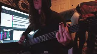 Within Destruction  SelfHatred Bass Cover [upl. by Drauode201]