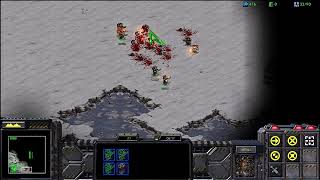 Starcraft Brood War Terran ep1 [upl. by Lamp436]