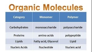 Organic Molecules amp Carbohydrates honors biology updated [upl. by Sorensen]