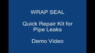 Wrap Seal Demo Videompg [upl. by Marielle]