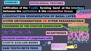 LICHEN PLANUS HISTOPATHOLOGY [upl. by Pacheco]