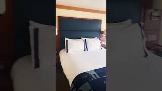 Disney Dream Stateroom 6514 [upl. by Anitsirt451]