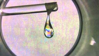 Using Polarizing Filters To See Stresses In Glass [upl. by Krakow450]