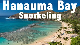 Snorkeling Hanauma Bay Reefs and Marine Life  All You Need To Know In 4 Minutes [upl. by Eikceb]