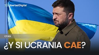 🇺🇦​ UCRANIA  La OTAN se verá arrastrada a una guerra con Rusia quotsi Ucrania caequot [upl. by Elaval]