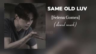 Selena Gomez  Same old love slowed and reverb hoteditaudio [upl. by Primo]