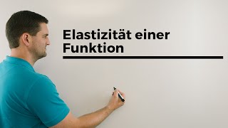 Elastizität einer Funktion Mathematik online Erklärvideos Mathe by Daniel Jung [upl. by Ibrab]