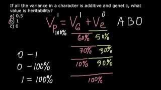 Phenotype and Heritability [upl. by Akel54]