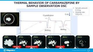 Rigaku Technical Seminar in Thermal Analysis Focusing on Pharmaceutical Applications [upl. by Harms]