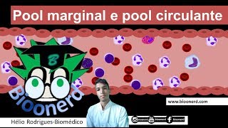 Pool marginal e Pool circulante  Cinética leucocitária [upl. by Saretta]