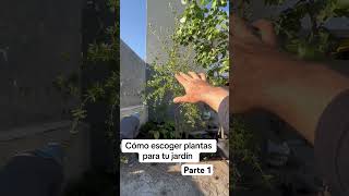 Como diseñar tu jardin jardin jardineros jardineria jardinencasa jardinagem diseño [upl. by Ramhaj]