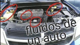 como revisar todos los líquidos o fluidos de un auto [upl. by Emiaj]