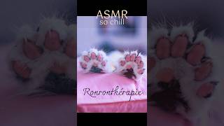 ASMR RONRON 🐈 Petrissage et ronronnement 3D dans vos oreilles 😺 asmrsleep asmrsounds brushing [upl. by Outhe]