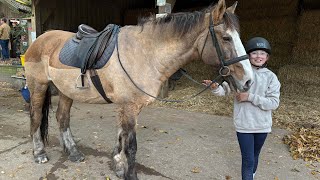 Half term Saturday horseriding fireworks familyvlog [upl. by Nelhsa517]