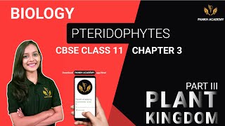 Pteridophytes Class 11 Biology Chapter 3  Plant Kingdom  Pankh Academy Part 3 [upl. by Isak]