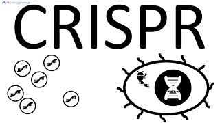 CRISPRCas9 basic explanation  Merogenomics [upl. by Benson]