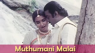 Muthumani Malai  Vijaykanth Sukanya  Chinna Gounder  Ilaiyaraja Hits  Super Hit Romantic Song [upl. by Rodoeht]