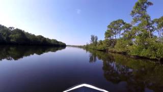 Estero River run Jet Ski [upl. by Atteuqaj]