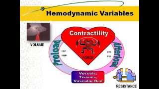 Hemodynamic Principles [upl. by Nivrek]