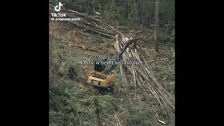 deforestation saveourplanet fypage viral tiktok xyzbca overfishing [upl. by Rockey960]