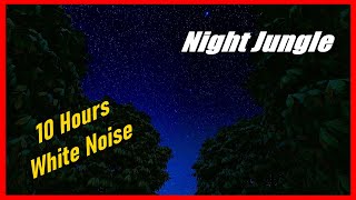 Forest Night Animals Ambience Optimal for Relaxation and Sleep Enjoy the Sounds of Nature [upl. by Rettig]