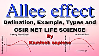 Allee effect Ecology Simply Explained By Kamlesh sapiens for CSIR life sciences exam [upl. by Gehman]