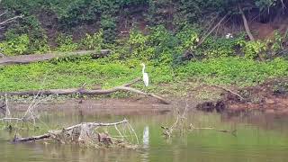 Kayaking Grand River  Ionia to Saranac Michigan [upl. by Laird620]