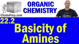 222 Basicity of Amines  Organic Chemistry [upl. by Sasha]