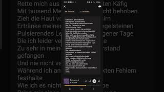 SchizophrenieGedicht als EmoSong [upl. by Yltneb]