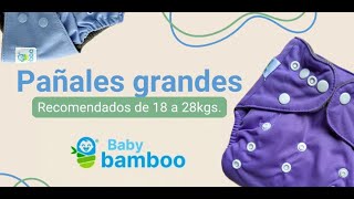 Pañales ecologicos grandes 1828 kgs Babybamboo [upl. by Eruot]