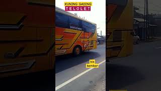 KUNING GADING TELOLET BIS KEMBAR BROOO busmania telolet support barteran tamsakan [upl. by Ladew]