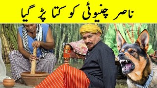 Nasir Chinyoti Ko Aftab Iqbal Ka Kutta Par Gya [upl. by Aihsened]