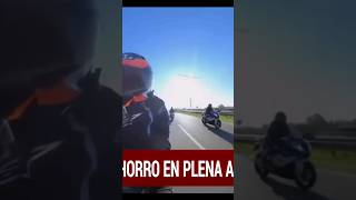 Salir en moto por Panamericana PASA ESTO MOTOCHORROS [upl. by Roddy]