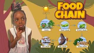 From Plants to Predators Exploring the Food Chain Fun amp Engaging Lessons About The Circle of Life [upl. by Kanya]