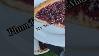 Plum 🍑 Tart Home Made [upl. by Nuli]