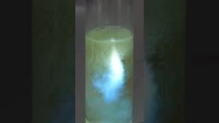 The amazing chemiluminescence of luminol [upl. by Tonl]