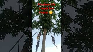 PROVINCE LIFE SIMPLE  youtube youtubeshorts provincelife OFWOFFICIAL657 [upl. by Anidal]