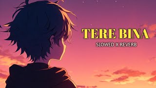 TERE BINA Slowed  Reverb [upl. by Holihs]