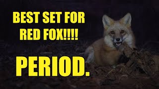 TRAPPING FOXES IN A TRENCH SET 1 NIGHT 1 TRAP 2 CATCHES REMAKES ARE DEADLY [upl. by Biagi809]