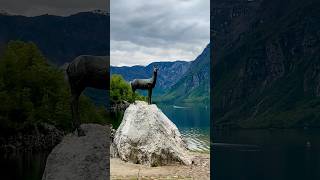 Bohinj  Ribčev Laz nature relaxing travel slovenia lake bohinj [upl. by Yelkrab]