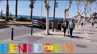 Benidorm INFO WALK☀️💬quotKing Avenuequot To PONIENTE BEACH🍻🌊Corona del Mar Shops amp Bars🛍️🏨🇪🇦 benidorm [upl. by Plusch488]