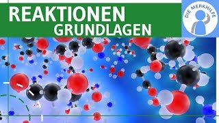 Reaktionen  Grundlagen Ladung Elektrophile Nucleophile einfach erklärt  Organische Chemie [upl. by Lenwood354]