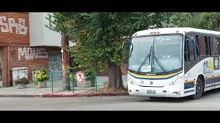 Exterior TPM 20Marcopolo Ideale 770 MercedesBenz OH1420Doblando en 8 de Octubre y A Miranda [upl. by Ardnasal]