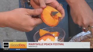 Marysville Peach Festival [upl. by Dolan]